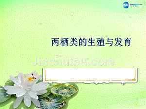 黑龙江省大庆市第三十中学八年级生物下册 21.4 两栖类的生殖与发育课件2 （新版）苏教版