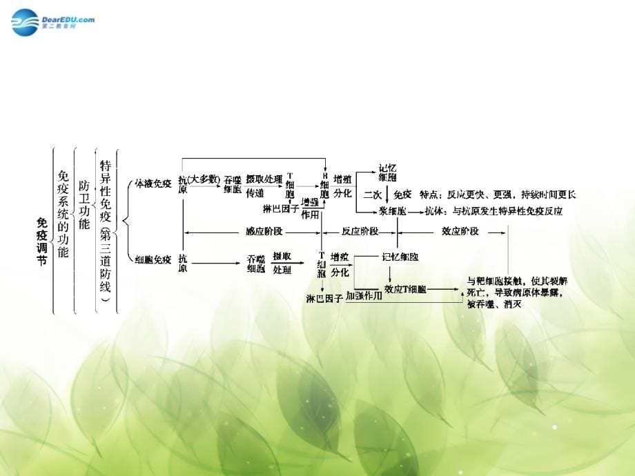 （智慧测评）2018高考生物 第2章 第3讲 免疫调节课件 新人教版必修3_第5页