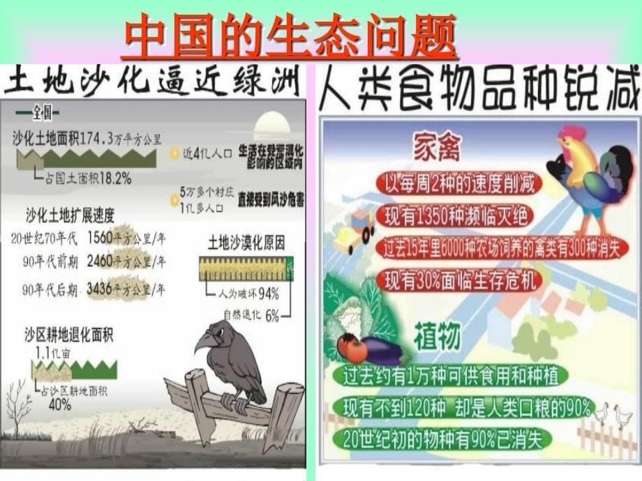 2.4.3 实施可持续发展战略 课件2（人教版九年级全）_第5页