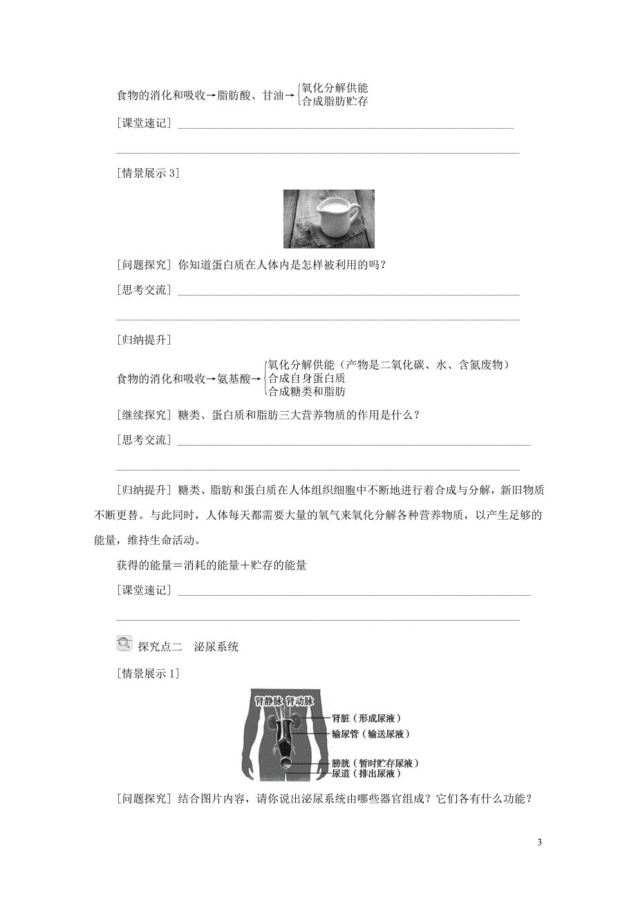 2018年秋九年级科学上册第4章代谢与平衡第5节体内物质的动态平衡学案无答案新版浙教版_第3页