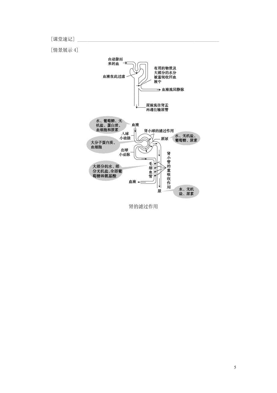 2018年秋九年级科学上册第4章代谢与平衡第5节体内物质的动态平衡学案无答案新版浙教版_第5页