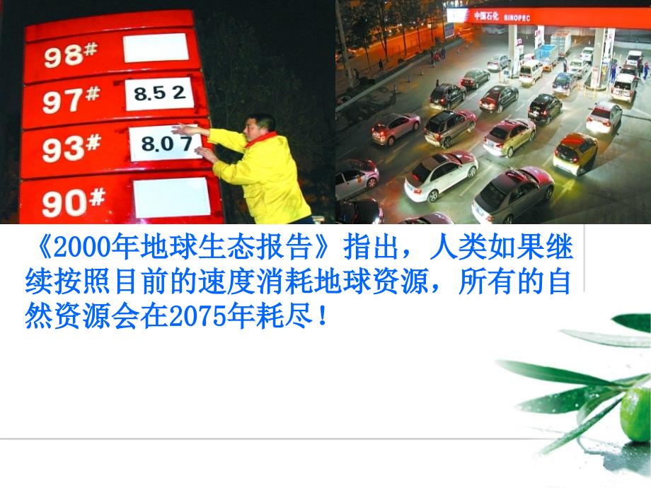 6.20.7《20.保护我们共有的家园》课件 (苏教版八年级政治上) (6)_第1页