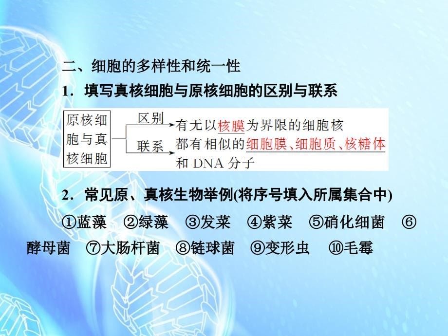 （新课标）2018年高考生物一轮复习 第一单元 细胞及其分子组成 第1讲 走近细胞课件_第5页