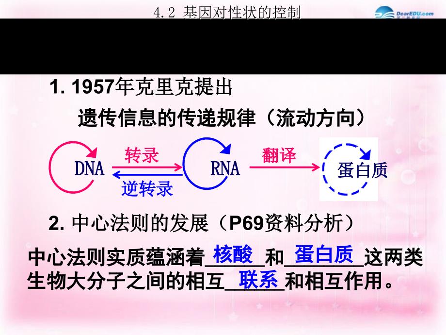 （新课标）高中生物 第4章第2节 基因对性状的控制课件2 新人教版必修2_第2页