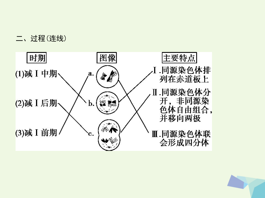 新课标2018高考生物一轮复习遗传与进化第5单元遗传的细胞基础和分子基础第13讲遗传的细胞基次件必修_第3页