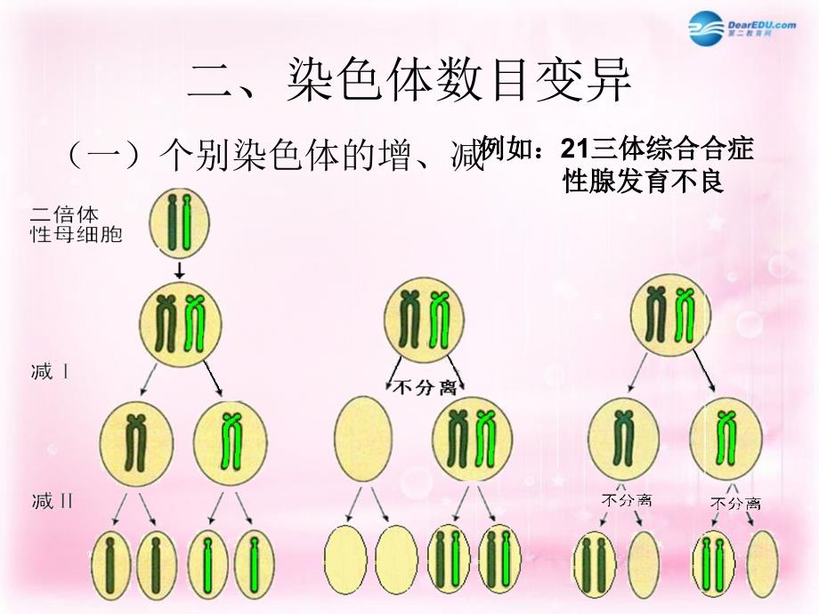 （新课标）高中生物《染色体变异》课件1 新人教版必修2_第4页