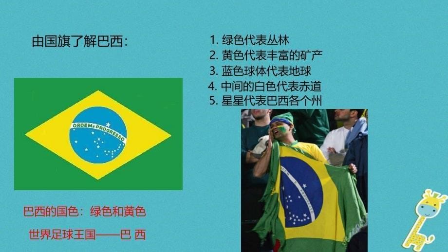 八年级地理下册 7.4巴西课件 中图版_第5页