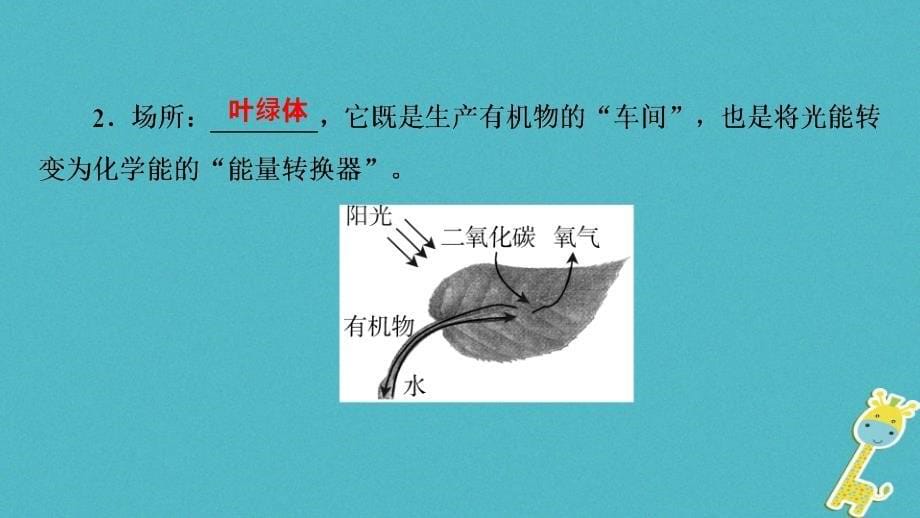 河南省2018年中考生物总复习第1部分第3单元第4章绿色植物的光合作用课件_第5页