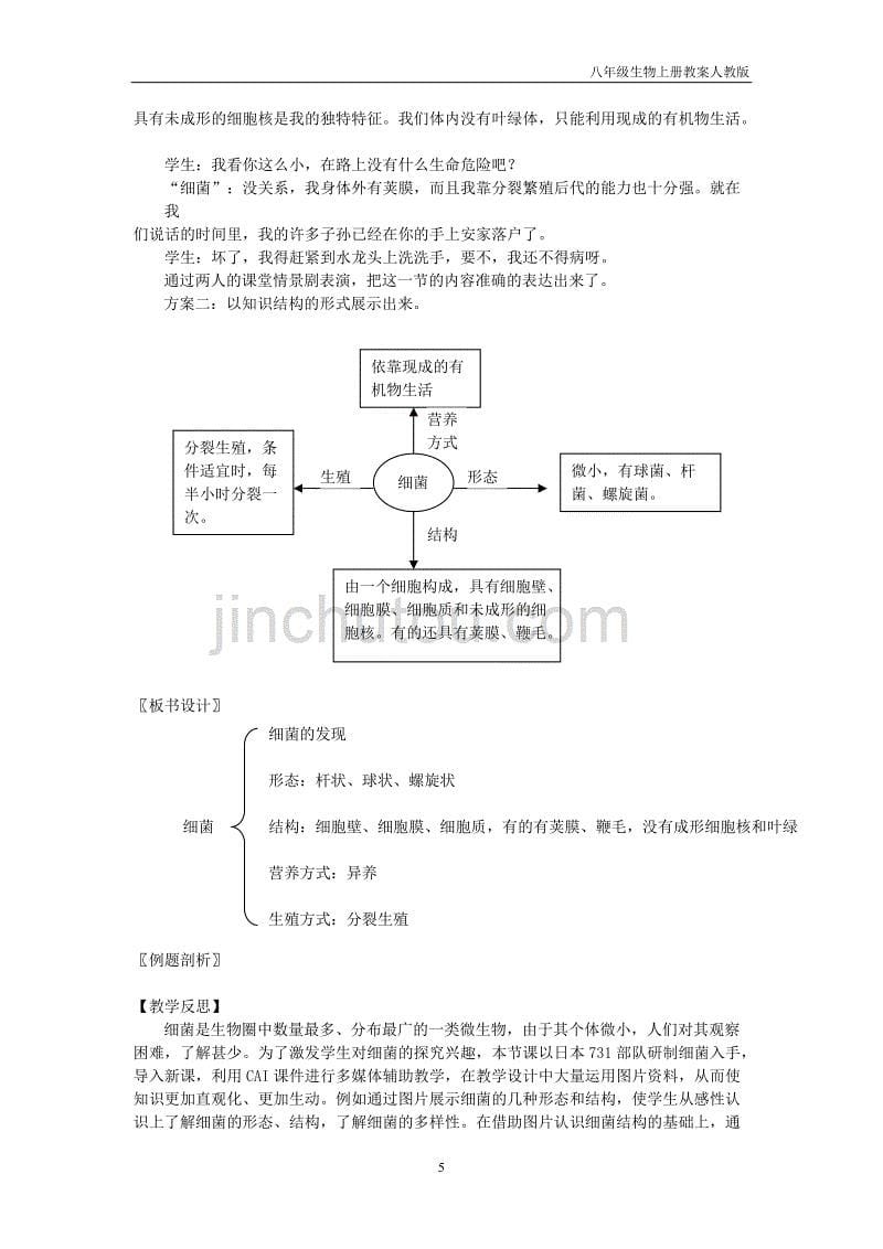 八年级生物上册第五单元第四章第二节细菌教案1人教版_第5页