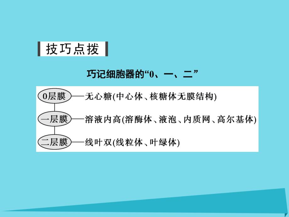 （江苏专用）2018版高考生物一轮复习 第二单元 细胞的基本结构与物质运输 第6讲 细胞器与生物膜系统课件_第3页