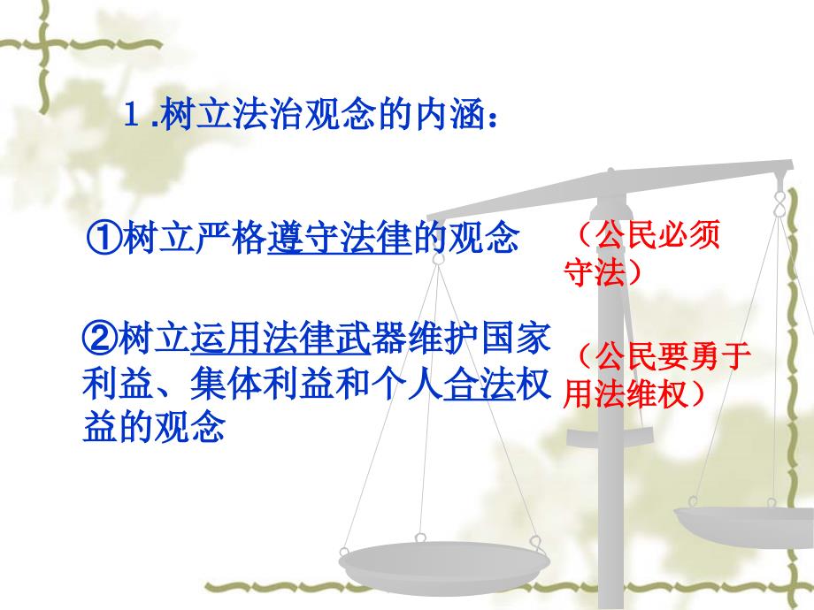 3.1做守法公民 课件9（政治苏科版九年级全册）_第4页