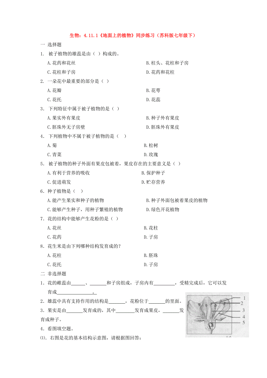 5.11.1  地面上的植物 试卷 (1)_第1页