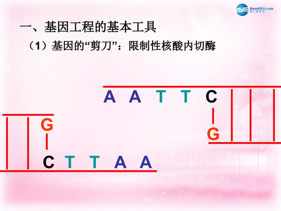 （新课标）高中生物 6.2基因工程及其应用课件16_第4页