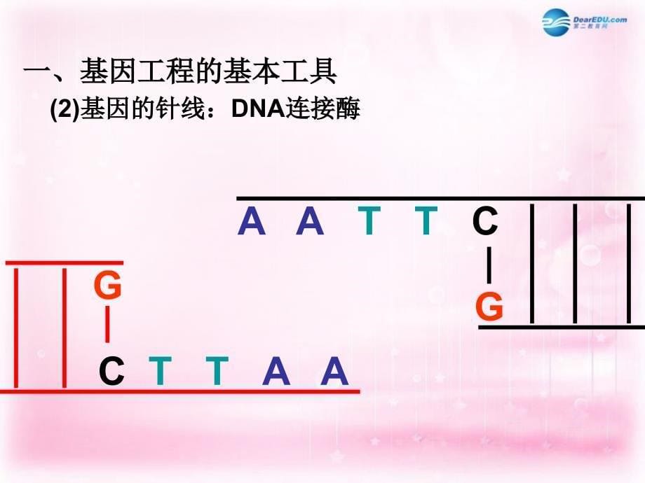 （新课标）高中生物 6.2基因工程及其应用课件16_第5页