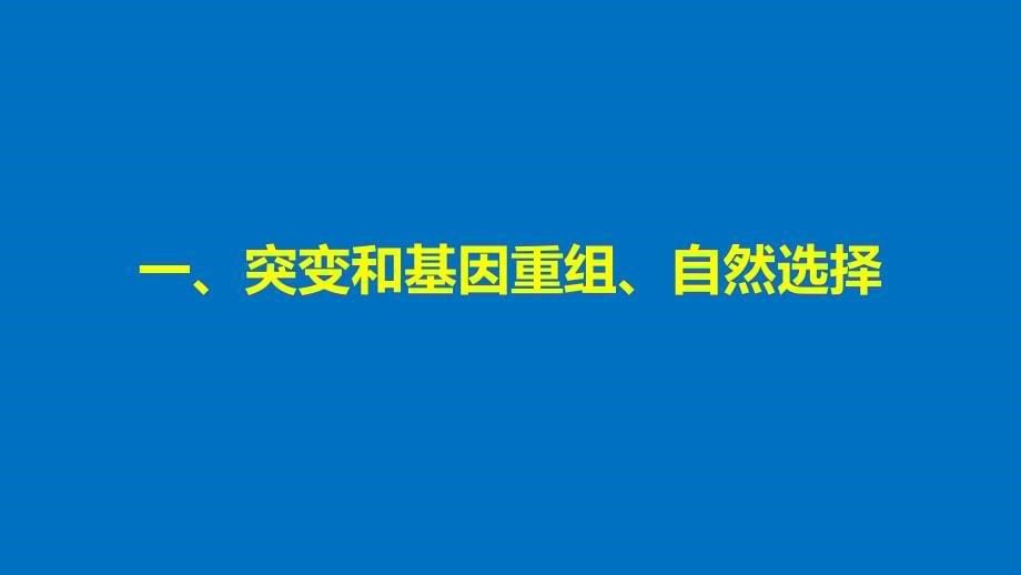 2018版高中生物第五章生物的进化第一节生物进化理论的发展第2课时课件苏教版必修_第5页