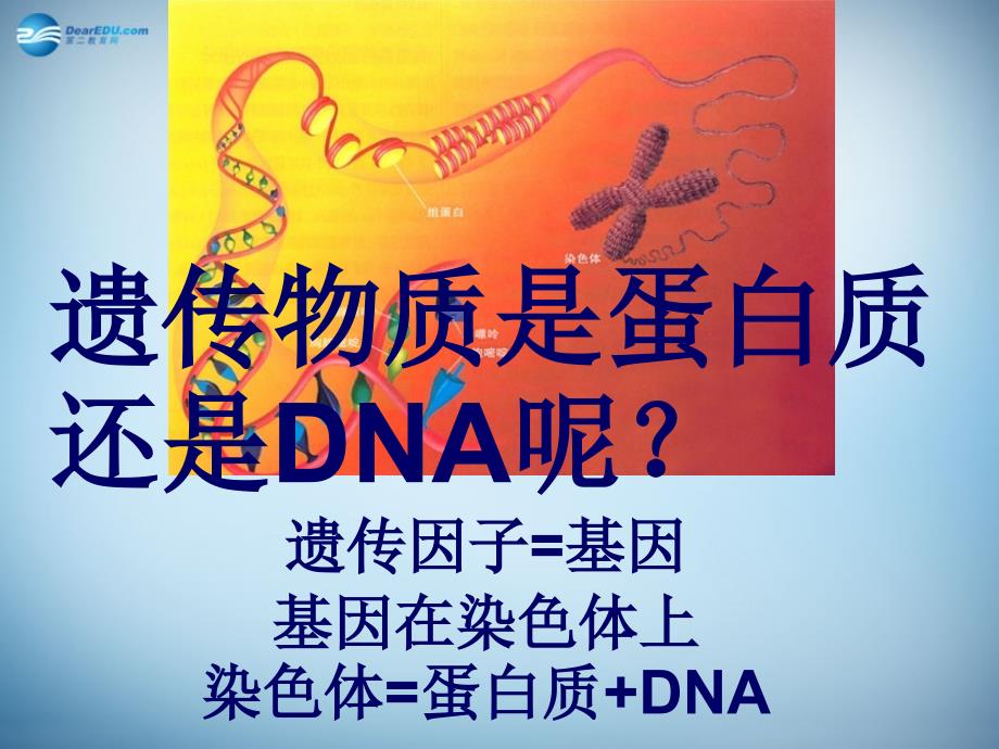 （新课标）高中生物 第3章第1节《dna是主要的遗传物质》课件7 新人教版必修2_第2页