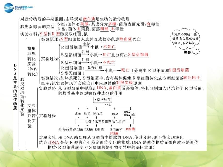 （智慧测评）2018高考生物 第3章 第1讲 基因的本质课件 新人教版必修2_第5页