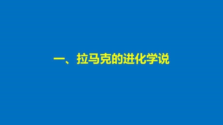 2018版高中生物第五章生物的进化第一节生物进化理论的发展第1课时课件苏教版必修_第5页