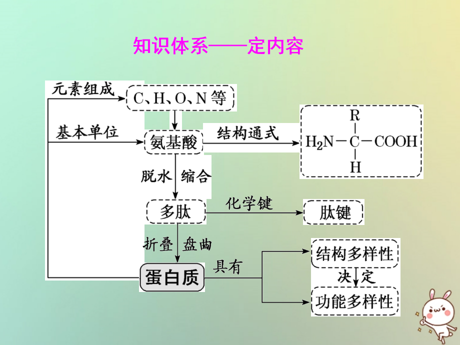 全国通用2019版高考生物一轮复习第一单元细胞及其分子组成第四讲生命活动的主要承担者--蛋白质精盐件_第3页