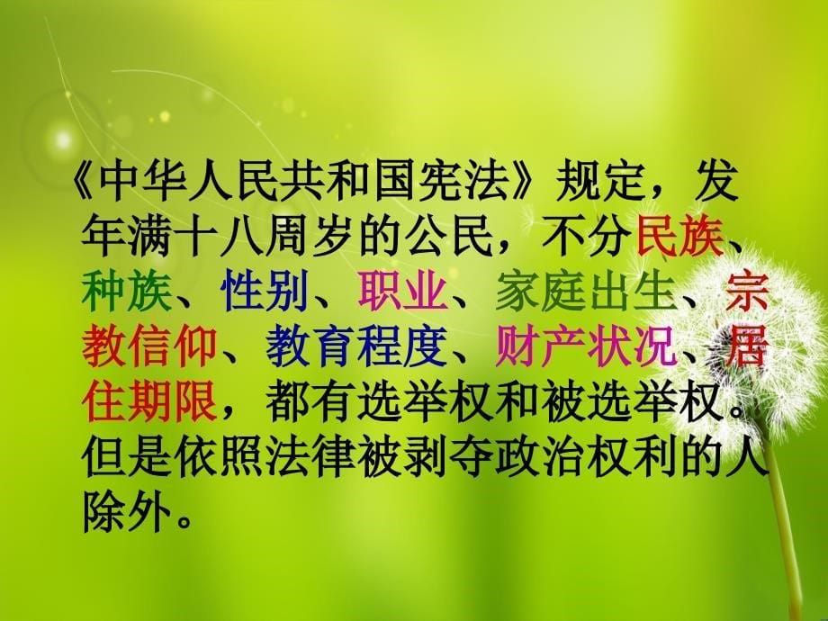 4.2神圣的一票 课件7（政治教科版九年级全册）_第5页