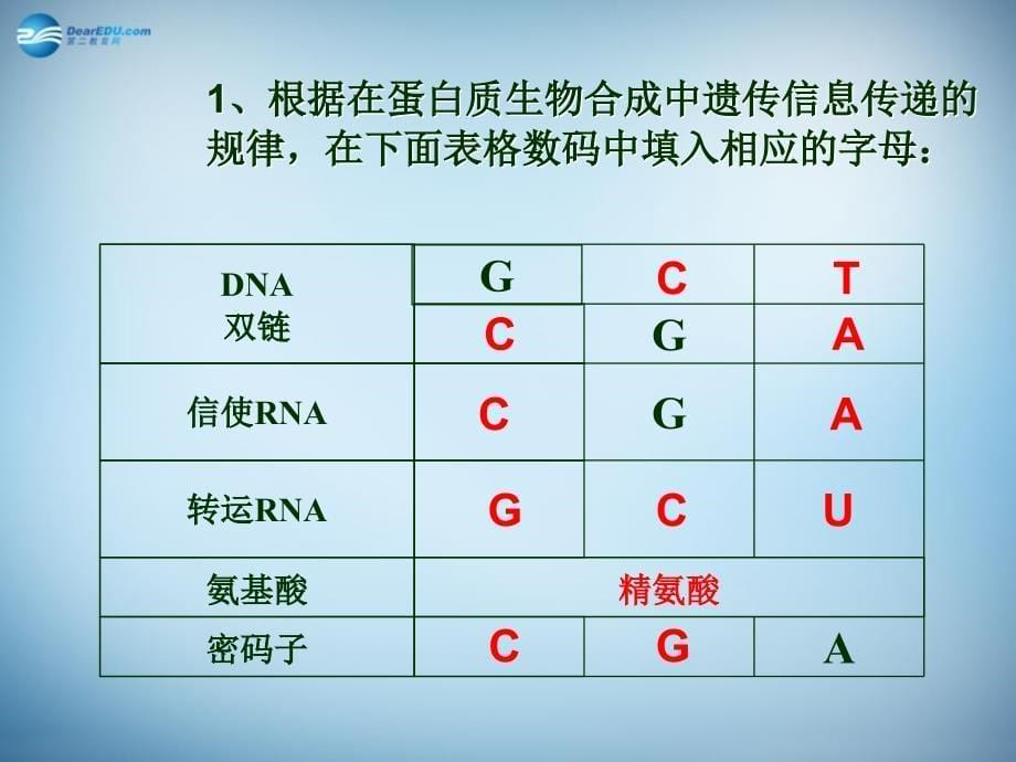 （新课标）高中生物 第4章第2节 基因对性状的控制课件27 新人教版必修2_第5页