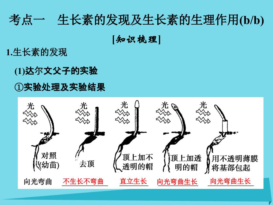 （浙江专用）2018版高考生物总复习 第五单元 生命活动的调节与免疫 第16讲 植物生命活动的调节课件_第2页