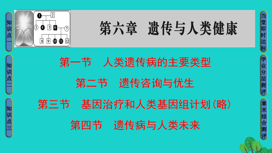 （教师用书）2018-2019版高中生物 第6章 遗传与人类健康课件 浙科版必修2_第1页