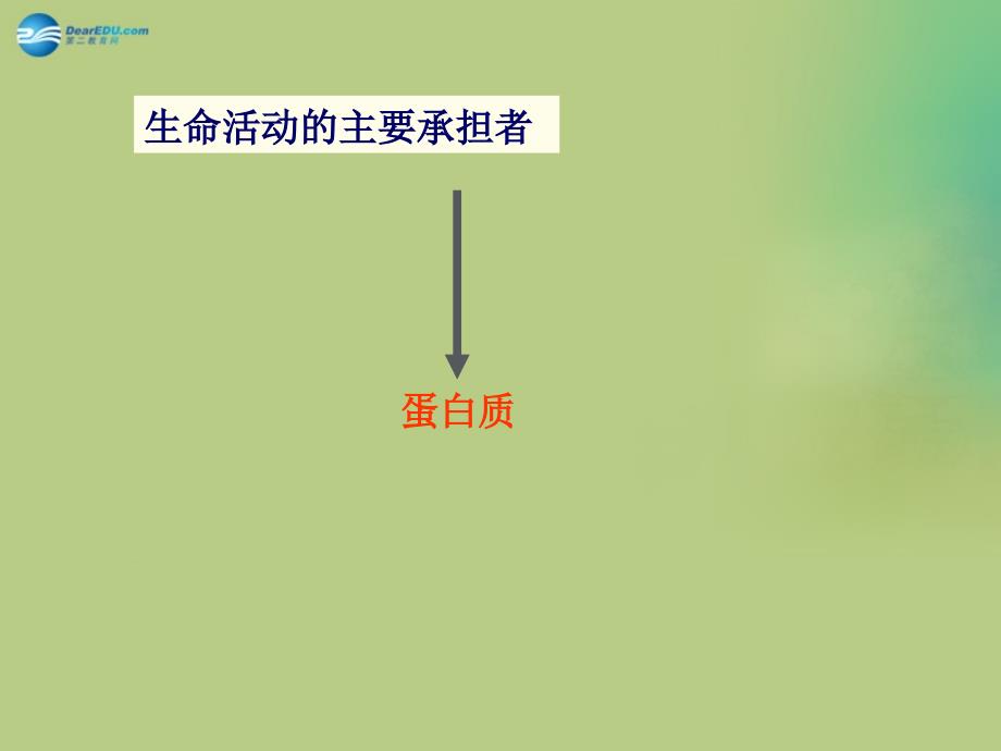 （教师参考）高中生物 2.2 生命活动的主要承担者 蛋白质课件5 新人教版必修1_第4页