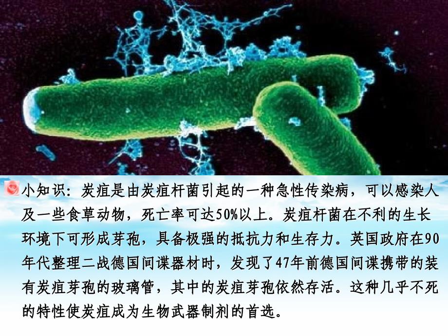 生物：4.3《禁止生物武器》课件(新人教版选修3).ppt_第4页