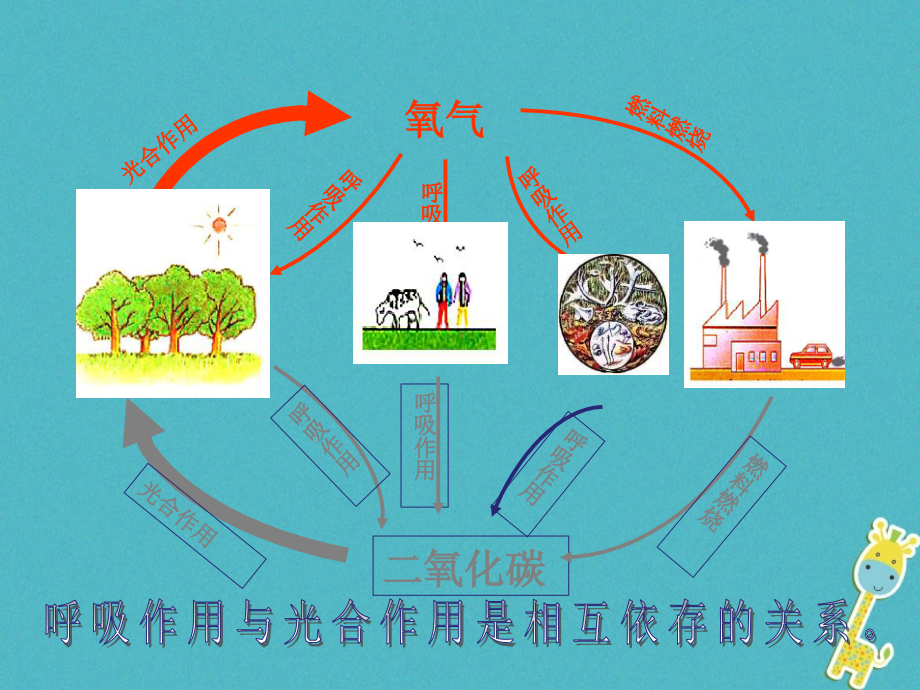 吉林省通榆县七年级生物上册 3.6 爱护植被，绿化祖国课件 （新版）新人教版_第2页