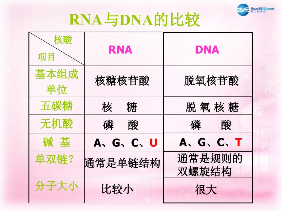 （新课标）高中生物 第4章第1节 基因指导蛋白质的合成课件33 新人教版必修2_第3页