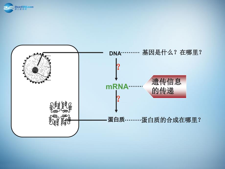 （新课标）高中生物 第4章第1节 基因指导蛋白质的合成课件26 新人教版必修2_第3页