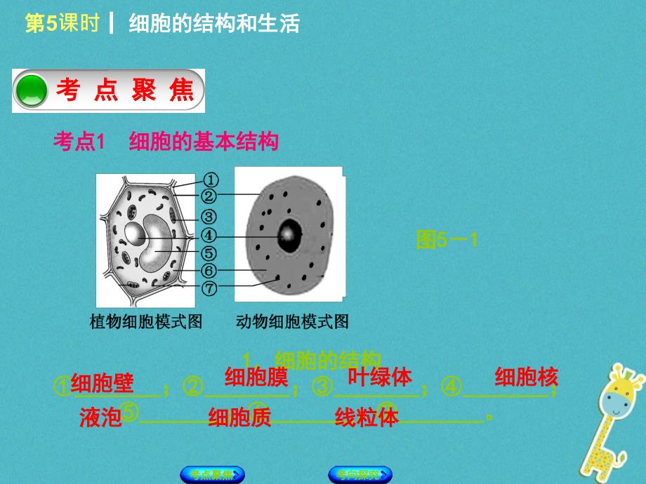 北京专版2018年中考生物复习方案主题三生物体的结构层次第5课时细胞的结构和生活课件_第2页