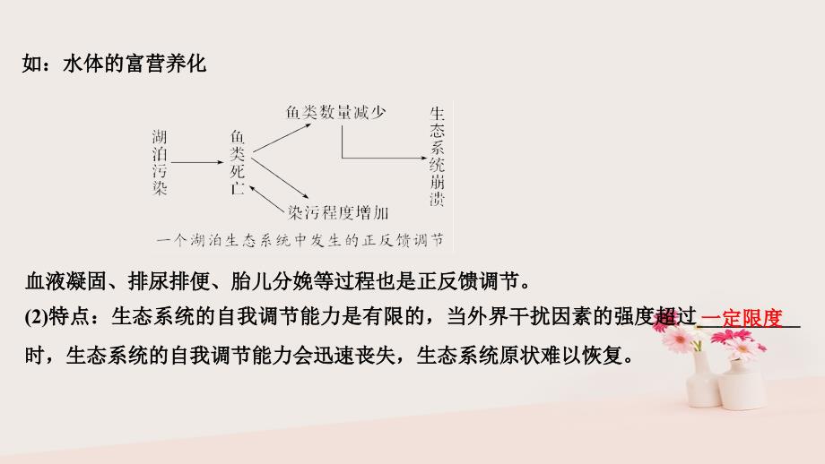 2019版高考生物大一轮复习第十单元生物群体的稳态与调节第31讲生态系统的稳定性和生态环境的保护课件中图版必修_第4页