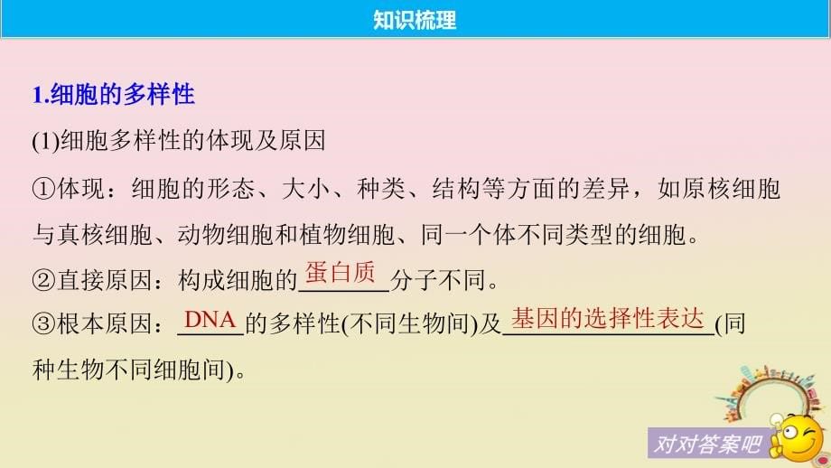 2019届高考生物一轮复习第二单元细胞的结构和功能第4讲生命活动的基本单位--细胞备考一体课件苏教版_第5页