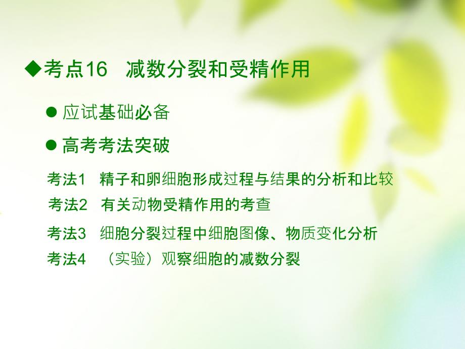 600分考点700分考法a版2019版高考生物总复习第六章遗传的细胞学基次件_第2页