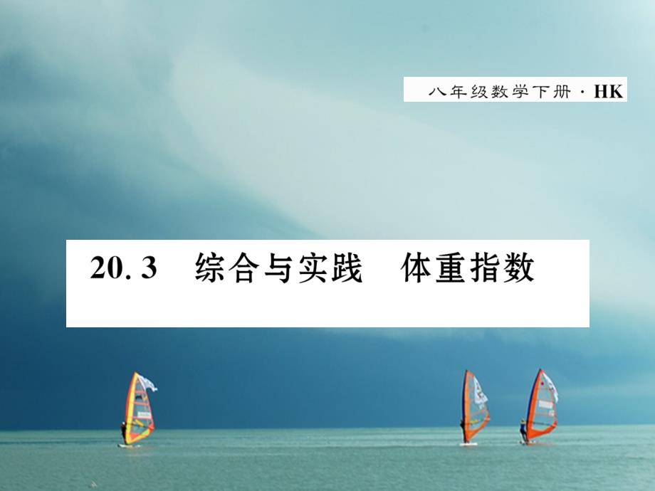 2019春八年级数学下册第20章数据的初步分析20.3综合与实践体重指数作业课件2新版沪科版_第1页