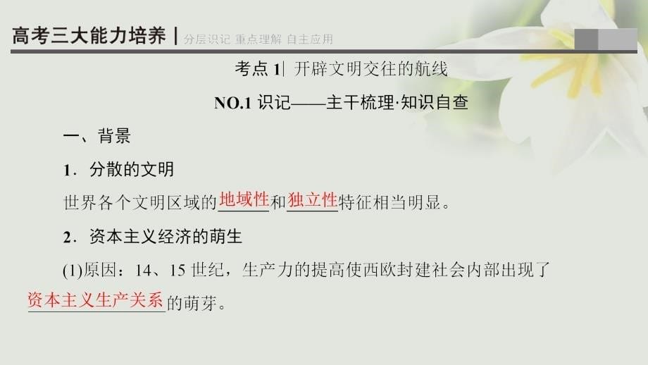 2018高考历史一轮复习专题9走向世界的资本主义市场第18讲开辟文明交往的航线和血与火的征服与掠夺课件人民版_第5页