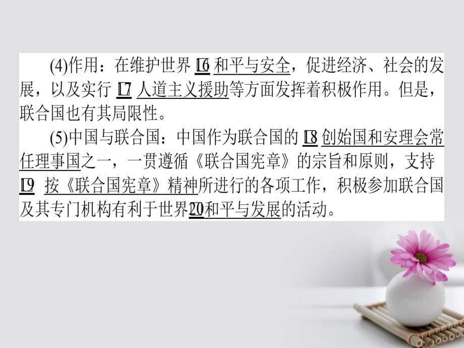 2018高考政治一轮复习2.4.1走近国际社会课件新人教版必修2_第5页