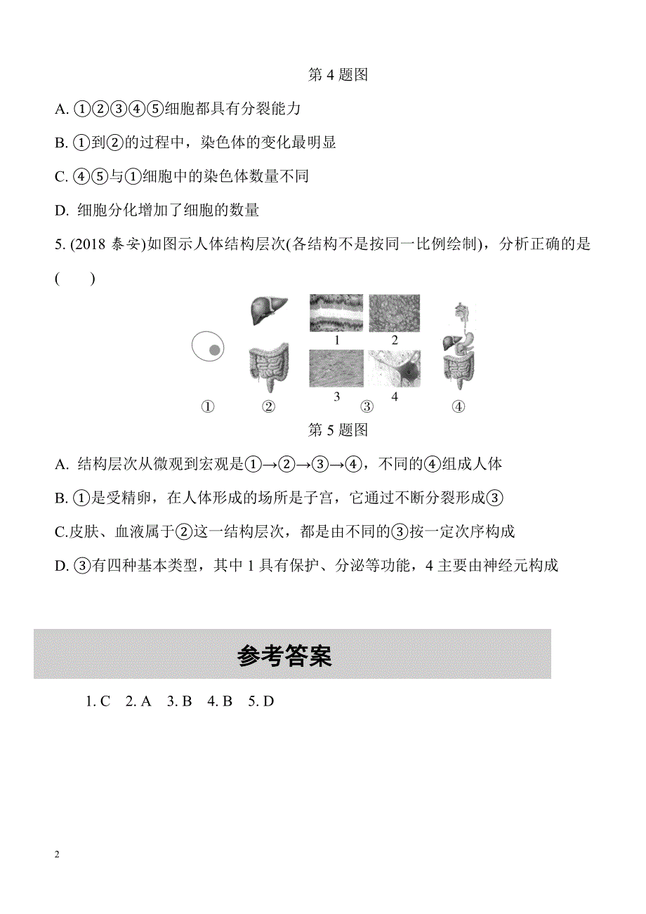 2019年中考生物重点题型突破题型一识图题4.细胞的生长、分裂和分化及生物体的结构层次（含答案解析）_第2页