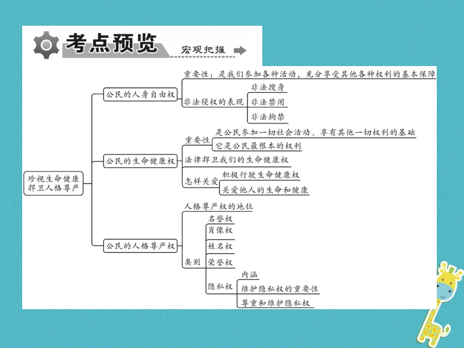 重庆市2018届中考政治专题复习八依法维护人身权利课件_第3页