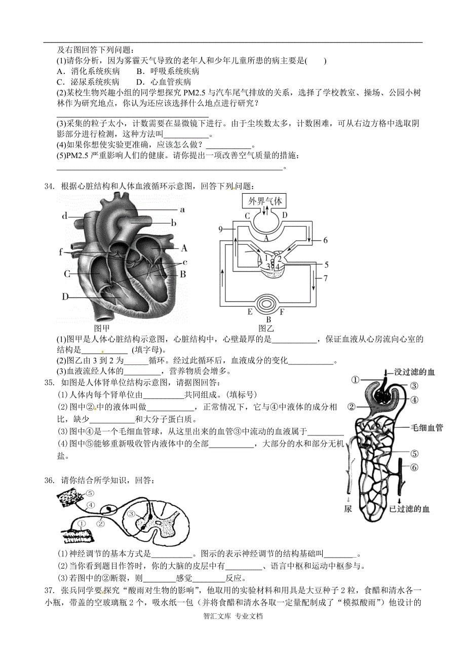 冷水江市2015-七年级下学期生物期末试卷及答案_第5页