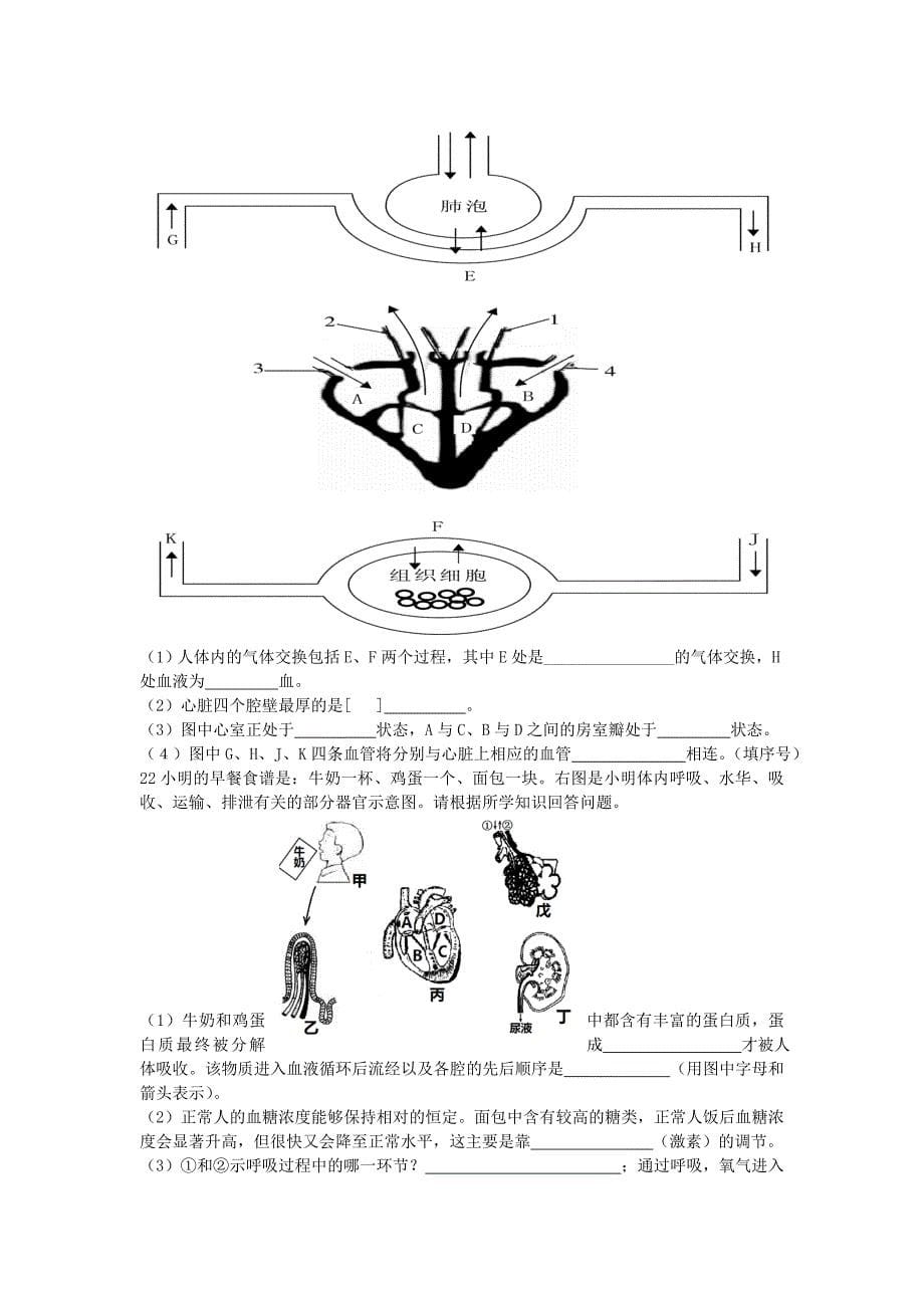 中考生物复习练习 第17课时 心脏与血液循环试题 新人教版_第5页