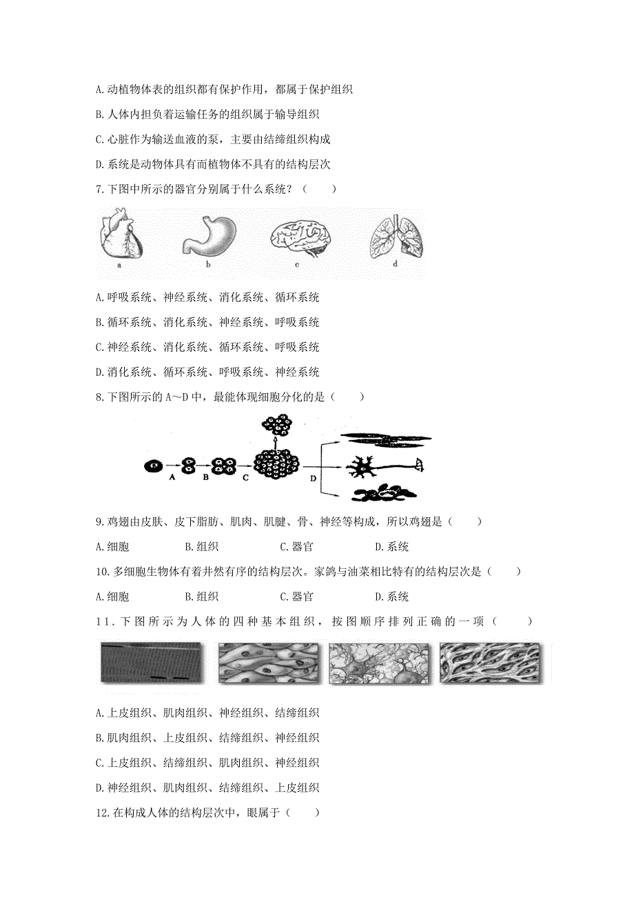 七年级生物上册 第四章 生物体的结构层次章末测试（1)（含解析) 北师大版_第2页