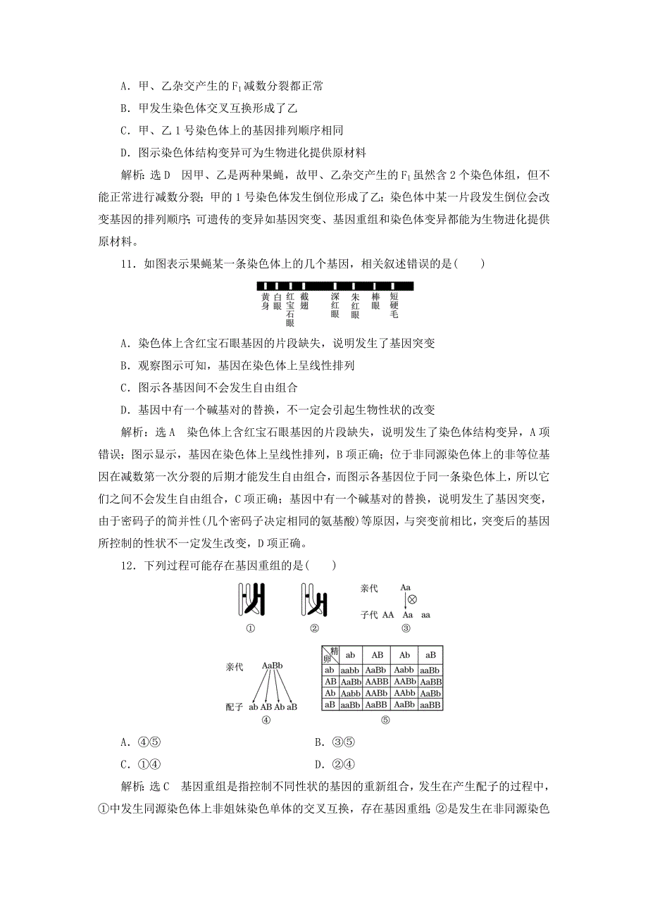 全国通用版2019版高考生物一轮复习第2部分遗传与进化第二单元基因的本质与表达课时检测二十四基因突变和基因重组_第4页