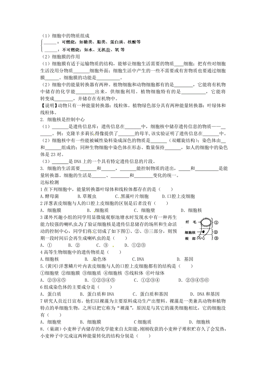 中考生物复习练习 第5课时 细胞结构与细胞的生活试题 新人教版_第2页