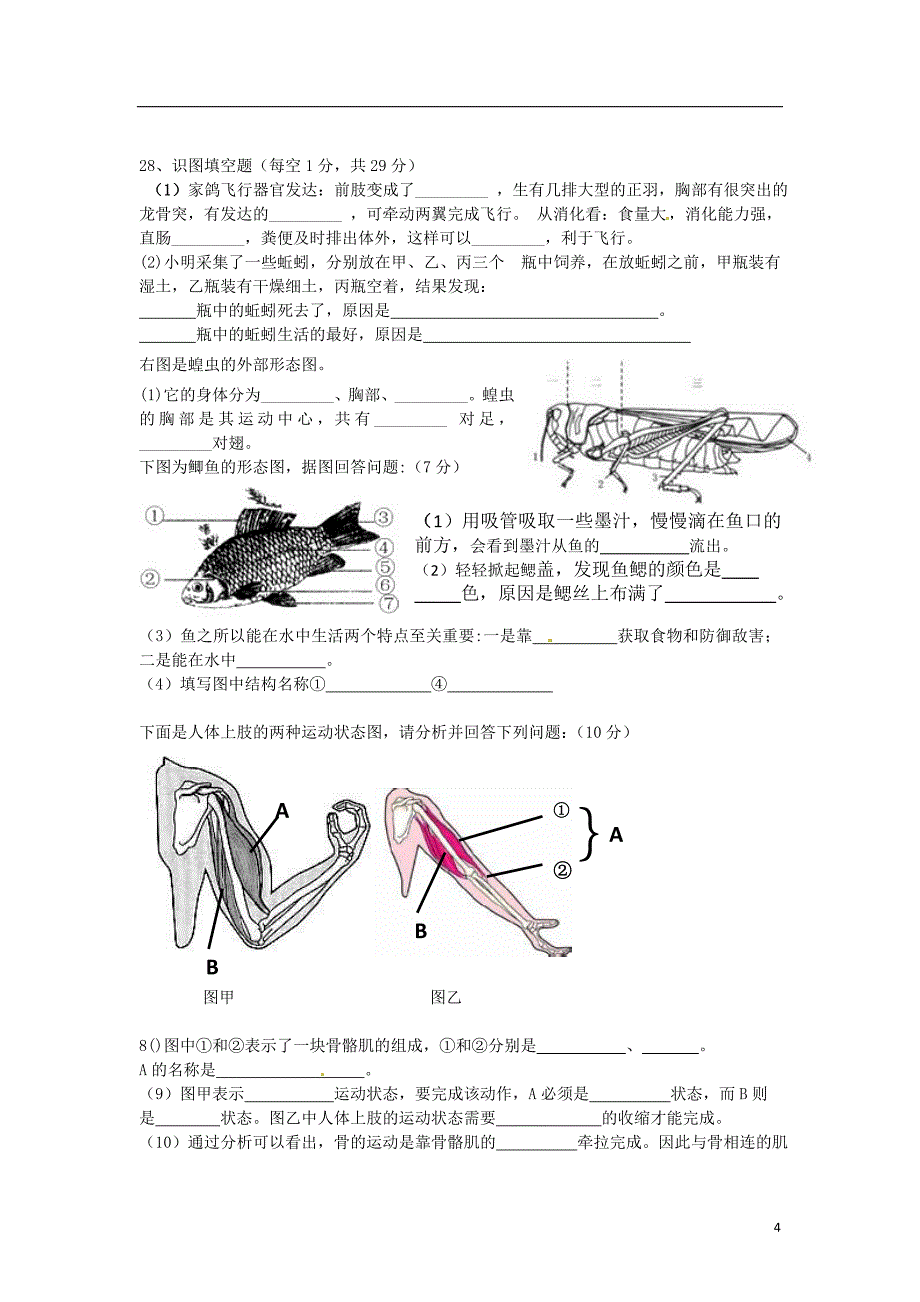 安徽省舒城晓天中学2015-2016学年八年级生物上学期期中试题 新人教版_第4页