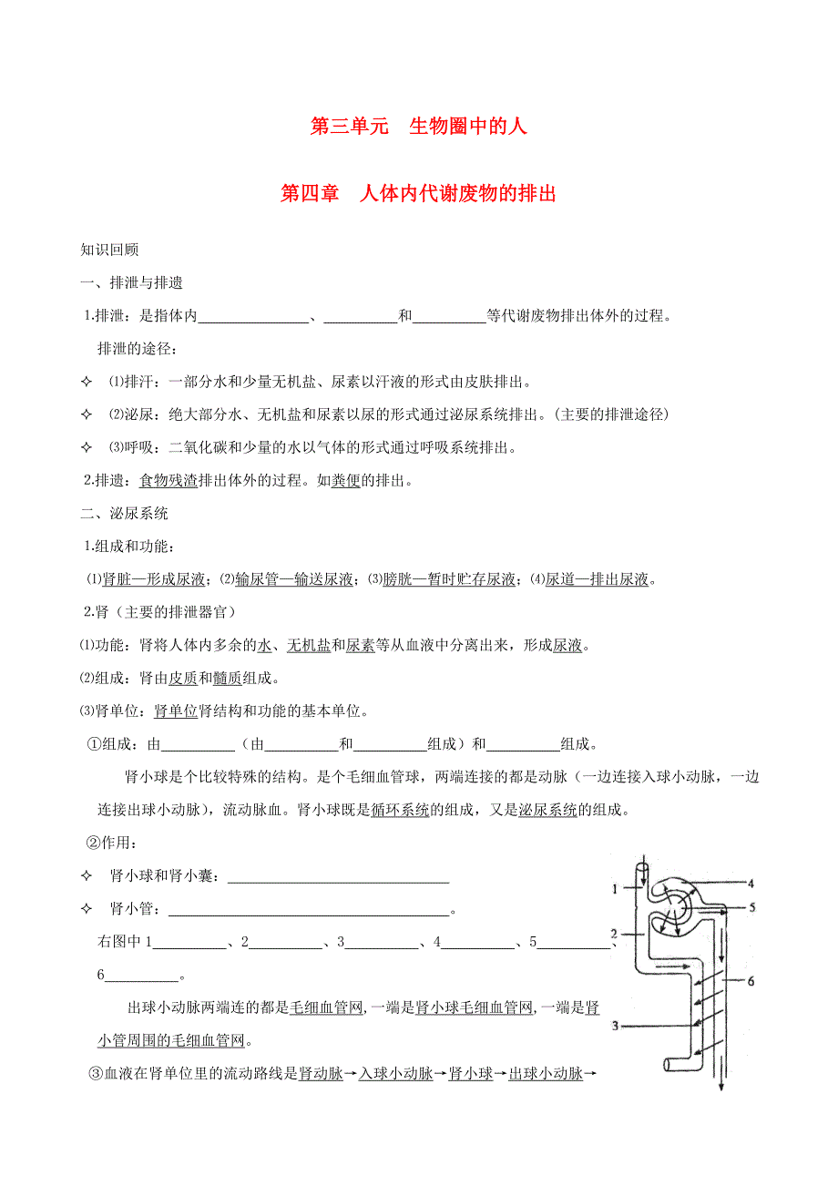 中考生物一轮复习 第三单元 第四章 人体内代谢废物的排出 济南版_第1页