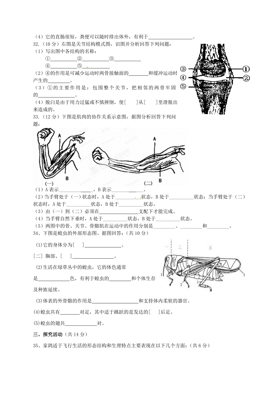 贵州省毕节市威宁县小海第二中学2015-2016学年八年级生物上学期期中试题 新人教版_第3页