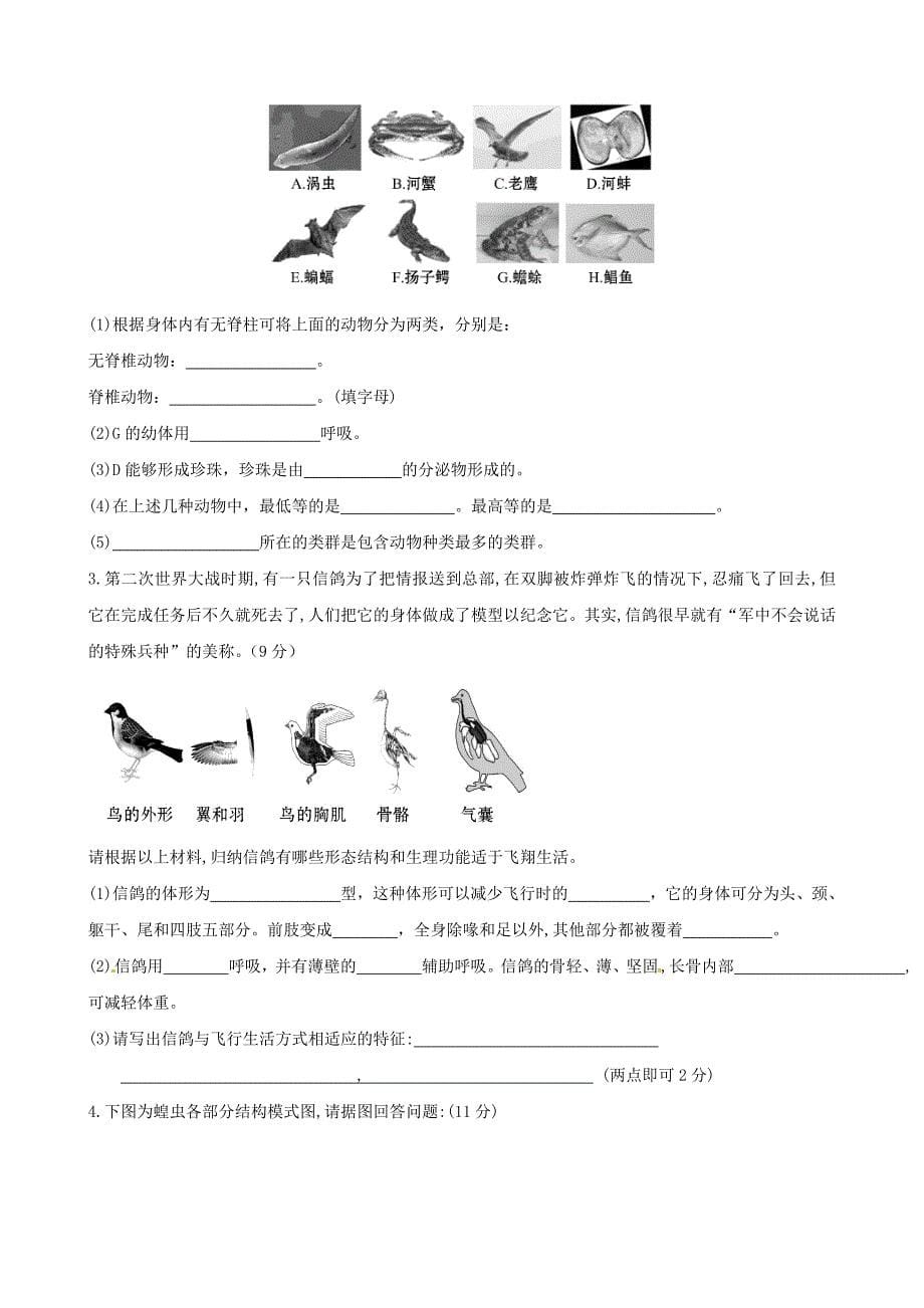 山东省聊城市东昌府区郑家镇中学2015-2016学年八年级生物（10月)月考试题 新人教版_第5页